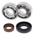 Фото #1 товара All BALLS KTM SX Crank Shaft Bearing Kit