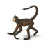 Фото #1 товара Фигурка Safari Ltd Spider Monkey Figure Wild Safari (Дикая Сафари)