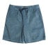 Фото #2 товара BILLABONG Larry Cord shorts