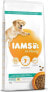 IAMS IAMS Vitality Adult Light in fat - sucha karma dla psa - 12 kg