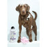 Шампунь для домашних животных Wahl 3999-7010 750 ml Белый