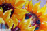 Фото #10 товара Bild handgemalt Symphony of Sunflowers