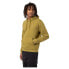 DICKIES Oakport hoodie