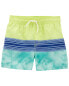 Toddler Colorblock Swim Trunks 2T