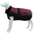 Фото #2 товара FREEDOG North Pole Model C Dog Jacket