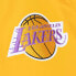 MITCHELL & NESS NBA PAINTBRUSH WARM UP PANTS LA LAKERS