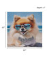 Beach Dogs Pomeranian Canvas Wall Art