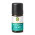 Aromatic mixture of essential oils Concetration 5 ml