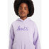 Фото #3 товара LEVI´S ® KIDS Poster Logo hoodie