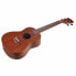 Flight NUC 310 Concert Ukulele