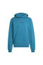 Фото #4 товара Erkek Sweatshirt Ic2356