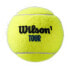 WILSON Tour Premier All Court Tennis Ball