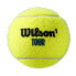 Фото #4 товара WILSON Tour Premier All Court Tennis Ball