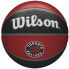 Фото #1 товара Ball Wilson NBA Team Toronto Raptors Ball WTB1300XBTOR