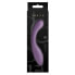 Vibrator NS Novelties Desire Purple