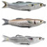 LIVE TARGET Mullet Walking Soft Lure 14g 115 mm