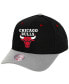 ფოტო #1 პროდუქტის Men's Black, Gray Chicago Bulls Pro Crown Adjustable Hat