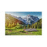 Фото #1 товара Puzzle Sommer in den Alpen 500 Teile