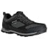 REGATTA Blackthorn Evo Low Hiking Shoes