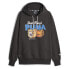 Фото #1 товара Puma Dylan Pullover Hoodie Mens Black Casual Outerwear 62204501