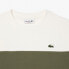 Фото #2 товара LACOSTE SH1433 sweatshirt