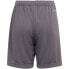 Фото #2 товара Adidas Entrada 22 Jr H57507 shorts