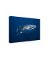 Фото #2 товара Barathieu Gabriel Whale Shark Canvas Art - 15" x 20"