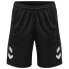 Фото #3 товара HUMMEL Lead Trainer Shorts