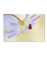 Jacky Parker 'Anemone Lady' Canvas Art - 32" x 22" x 2"