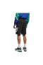 Sportswear Siyah Erkek Şort -ar2375-010