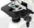 Bresser Optics BIOSCIENCE 40-1000X - Digital microscope - Black - White - 1000x - 40x - Halogen - AC