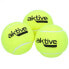Фото #3 товара Теннисные мячи Aktive 3 предмета жёлтый 12 штук