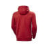 Фото #4 товара Helly Hansen Logo Hoodie M