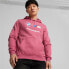 [536243-05] Mens Puma BMW Motorsport ESSENTIAL FLEECE HOODIE