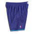 Mens Mitchell & Ness NBA ALTERNATE SWINGMAN SHORTS - HORNETS 94-95