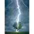 Фото #5 товара Puzzle Blitz schlägt in einen Baum