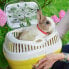 ფოტო #4 პროდუქტის FERPLAST Aladino 36x26x23 cm Rodent Carrier