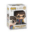 Funko POP! HP: Holiday - Harry Potter
