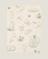 Pack of tapas print cotton tea towels (pack of 2)