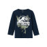 Фото #3 товара NAME IT Nijal Jurassic Sky long sleeve T-shirt