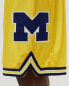 Фото #3 товара Mens Mitchell & Ness NCAA University of Michigan MAIZE SHORTS 1991