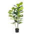 Фото #1 товара Декоративное растение Полиуретан Цемент фикус 120 cm