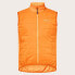 Фото #3 товара OAKLEY APPAREL Elements Insulated Gilet
