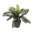 Фото #1 товара Интерьерное искусственное растение MICA Decorations Керамическая Пальма (11,5 x 33 см)