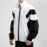Фото #4 товара Куртка спортивная Puma Trendy_Clothing Featured_Jacket 597610-02 для мужчин