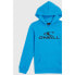 Фото #4 товара O´NEILL Logo hoodie