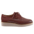 Фото #1 товара Softwalk Willis S1811-255 Womens Brown Oxfords & Lace Ups Casual Shoes 5