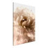 Wandbild Soft Petals