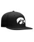 ფოტო #4 პროდუქტის Men's Black Iowa Hawkeyes Dusk Flex Hat
