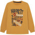 ფოტო #1 პროდუქტის HACKETT Graphic long sleeve T-shirt